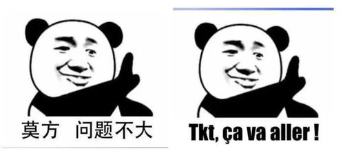 聊天尬住不如回复一个法语表情包