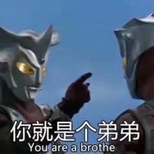 收藏夹