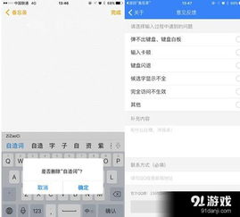 讯飞输入法iphone5.2.1526扩充表情高颜值有内涵