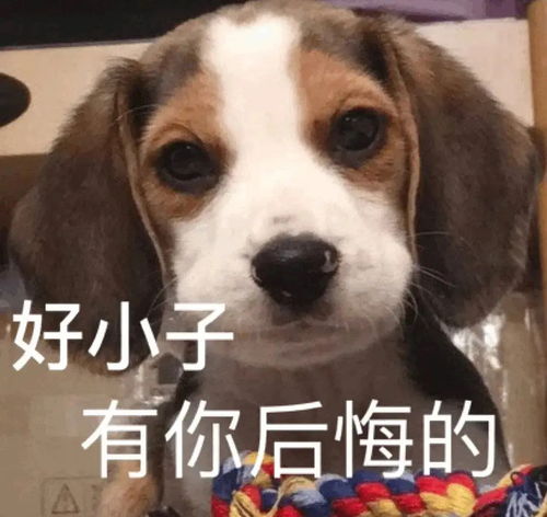 来吃油饼包烧卖了