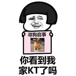 寻人启事表情包你看到我女朋友了吗,你看到我男朋友了吗