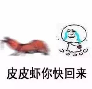 水中霸主皮皮虾究竟是一只怎样的虾