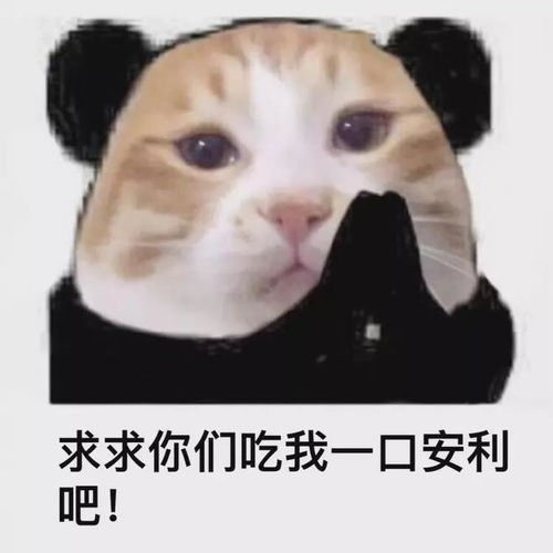 表情包套装抱紧你
