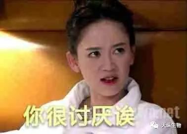 我喜欢你送花表情包陈乔恩