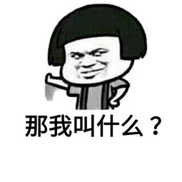 套路男朋友的表情包看书的那个女生