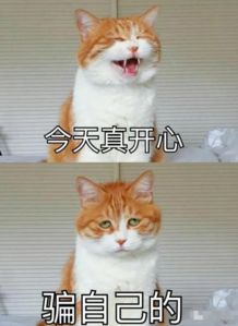 这个征兵广告真的有毒每日轻松一刻4月3日晚间版