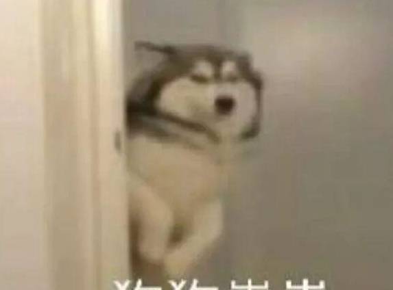 你有哪些一秒变开心的表情包
