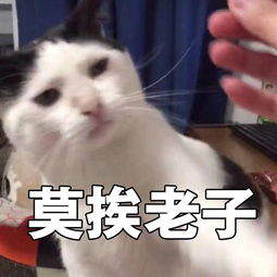 好想谈恋爱莫挨老子表情包app下载好想谈恋爱莫挨老子表情包app免费分享v1.0安族软件网