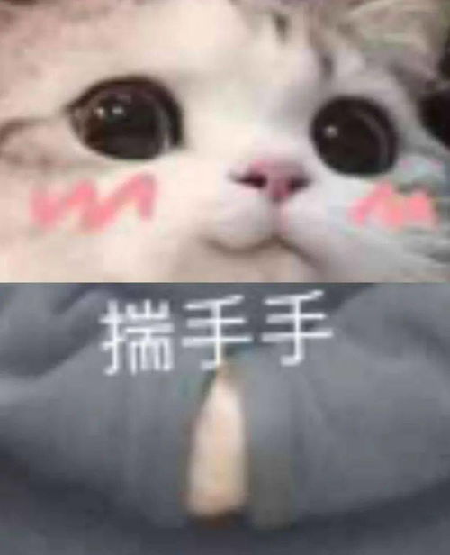 大学生的搜索词条竟然是