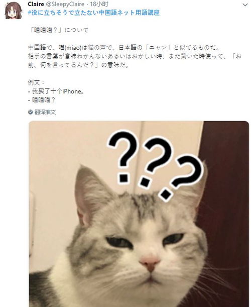 为了让日本人了解中国的表情包,推特开了个知识讲座网友