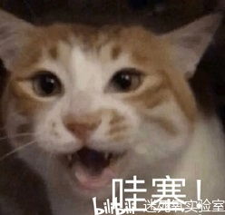 张伟小龙虾表情包毛桃