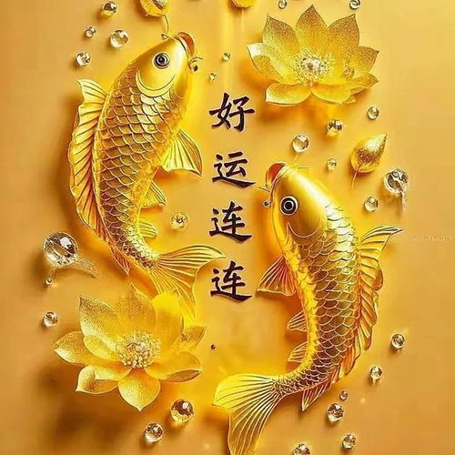 2025好运莲莲头像