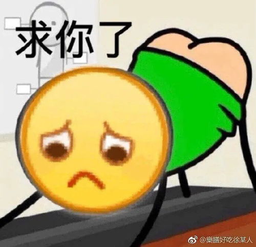 平凉斗图表情包微信