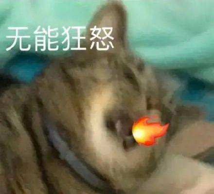 从校园恋爱到结婚求求你们鲨了我吧