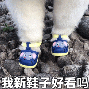 抖音热门表情精选