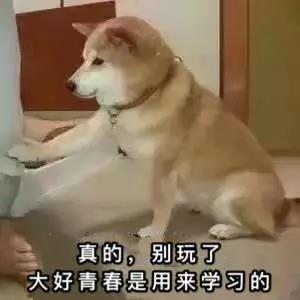 工作使我快乐表情包
