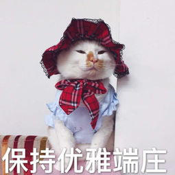 朋友,这是你知道的俄罗斯吗一