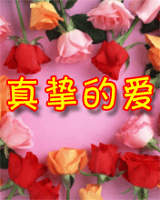qq表情爱情qq表情鲜花送花真挚的爱