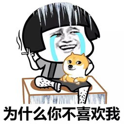 表情丨2017年已经过去200天了动图好嗨森
