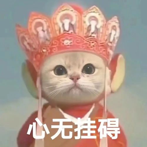 表妹夫半开玩笑半认真地让我以后把我的遗产给他女儿