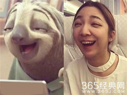 刘昊然撞脸柴犬,这些人凑一起可以拍真人版的疯狂动物城吧