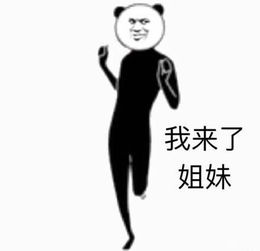 山东考生三不孝一不考研二不考公三不考教资