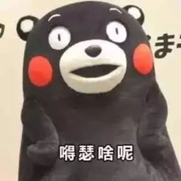 千万别听东北话,哈哈哈哈哈哈