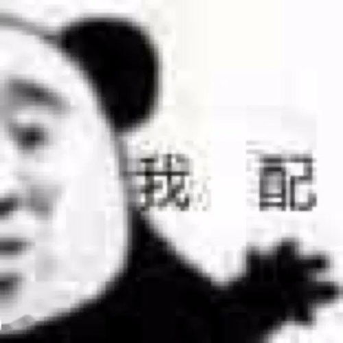 表情包杂集感觉到不妙