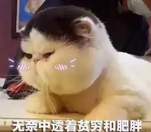 我不乖表情包哈哈哈