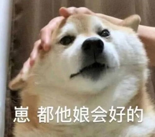 沙雕表情包有意思的文案