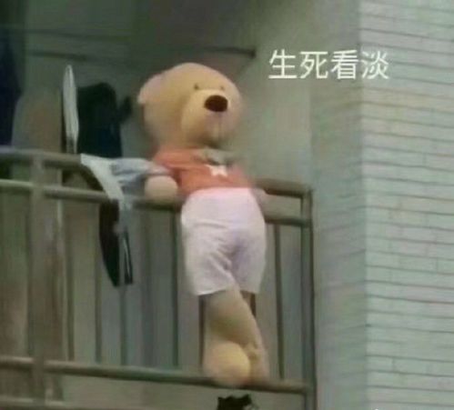 今日份沙雕表情包毁灭吧,我累了