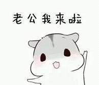 情侣秀恩爱老婆专用仓鼠表情包情侣秀恩爱老公系列仓鼠表情包下载乐游网游戏下载