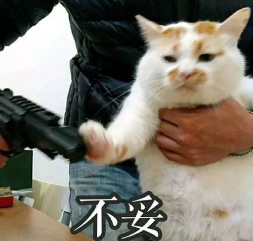 注意,您的期末划重点功能加载失败