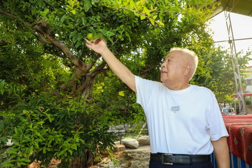 60岁老年人姓林微信头像搞怪