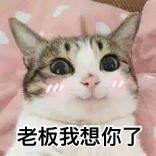 最新搞笑工作日常表情包带字大全我这么可爱还是要起床上班