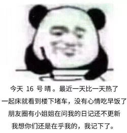 熊猫头写日记记仇30天表情包下载30天熊猫头写日记记仇表情包高清无水印极光下载站