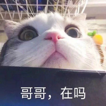 过目不忘的沙雕表情包