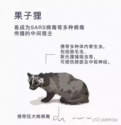 呼吁杜绝野生动物非法食用和交易,不要再打开病毒的潘多拉