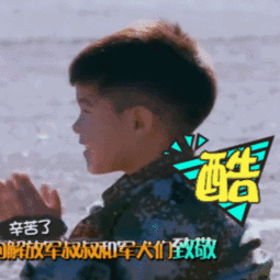 爸爸去哪儿动图表情包