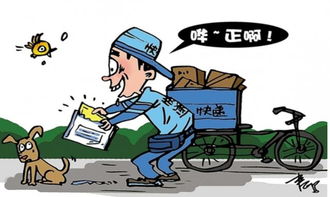 快递员一时贪念起偷拿公司价值3200元包裹