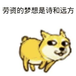 doge表情包微博开心笑话