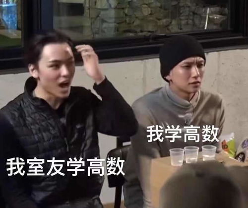 期末复习从收藏表情包开始勇敢牛牛,不怕困难