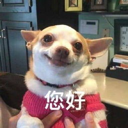 十条笑话你可能是女娲捏的最后一个人