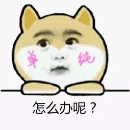 给父母买保险,千万注意这些小陷阱
