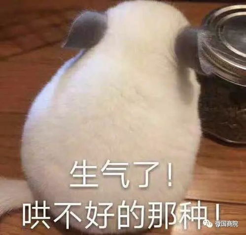 开学季小萌新们你们的福利来了