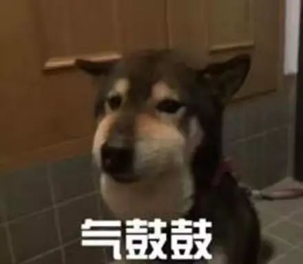 数院传媒编辑部数院文采担当