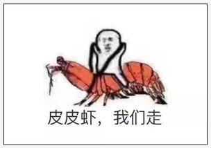 皮皮虾我们走是什么意思皮皮虾我们走是什么梗啥意思皮皮虾我们走这些表情包火了