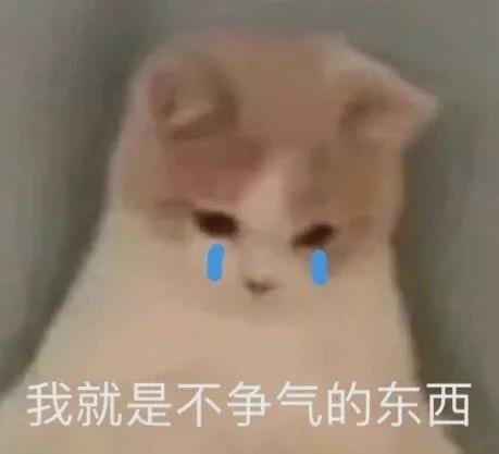 桃花运很好,想结婚很难的几大星座