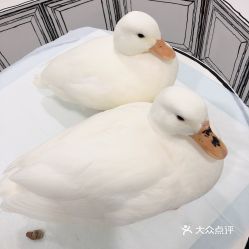 电话,地址,价格,营业时间图南京美食