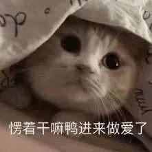有哪些撩男友的表情包
